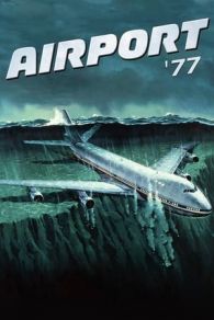 VER Aeropuerto '77 Online Gratis HD