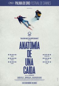 VER Anatomía de una Caída Online Gratis HD