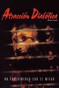 VER Atracción diabólica (Monkey Shines) Online Gratis HD