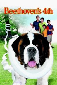 VER Beethoven 4: Enredo en la familia (2001) Online Gratis HD