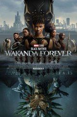 VER Black Panther: Wakanda Forever Online Gratis HD