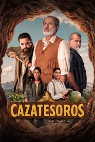 VER Cazatesoros Online Gratis HD