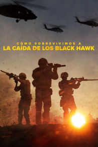 VER Cómo sobrevivimos a la caída de los Black Hawk Online Gratis HD