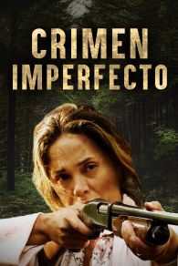 VER Crimen imperfecto Online Gratis HD