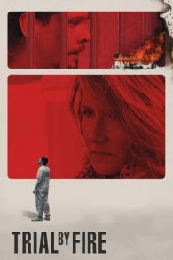 VER El Caso Willingham (2018) Online Gratis HD