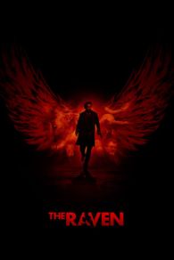 VER El enigma del cuervo (2012) Online Gratis HD