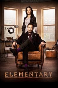 VER Elementary Online Gratis HD