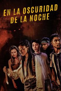 VER En la oscuridad de la noche Online Gratis HD