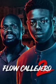 VER Flow Callejero 2 Online Gratis HD