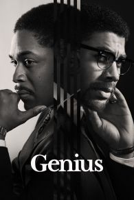 VER Genius: Einstein Online Gratis HD