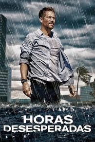 VER Horas Desesperadas (2013) Online Gratis HD