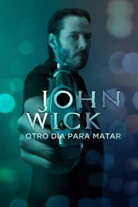 VER John Wick: Otro día para matar Online Gratis HD