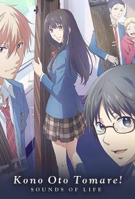 VER Kono Oto Tomare!: Sounds of Life Online Gratis HD