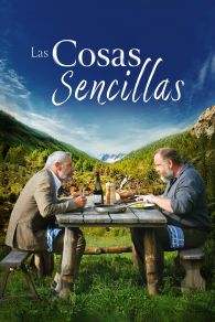 VER Las cosas sencillas Online Gratis HD