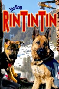 VER Las Nuevas Aventuras de Rin Tin Tin Online Gratis HD