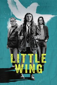 VER Little Wing Online Gratis HD