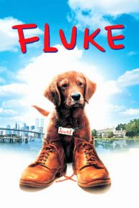 VER Mi amigo Fluke (1995) Online Gratis HD