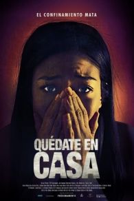 VER Pánico en casa Online Gratis HD