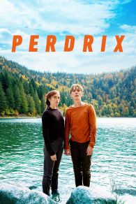 VER Perdrix Online Gratis HD