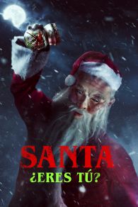 VER Santa Isn't Real Online Gratis HD