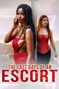 VER The Last Days of an Escort Online Gratis HD