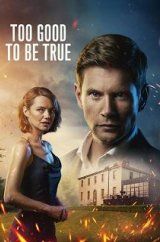 VER Too Good to Be True Online Gratis HD