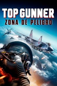 VER Top Gunner: Danger Zone Online Gratis HD