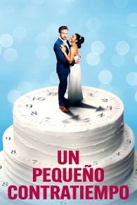 VER Un pequeño contratiempo Online Gratis HD