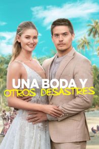 VER Una Boda y Otros Desastres Online Gratis HD